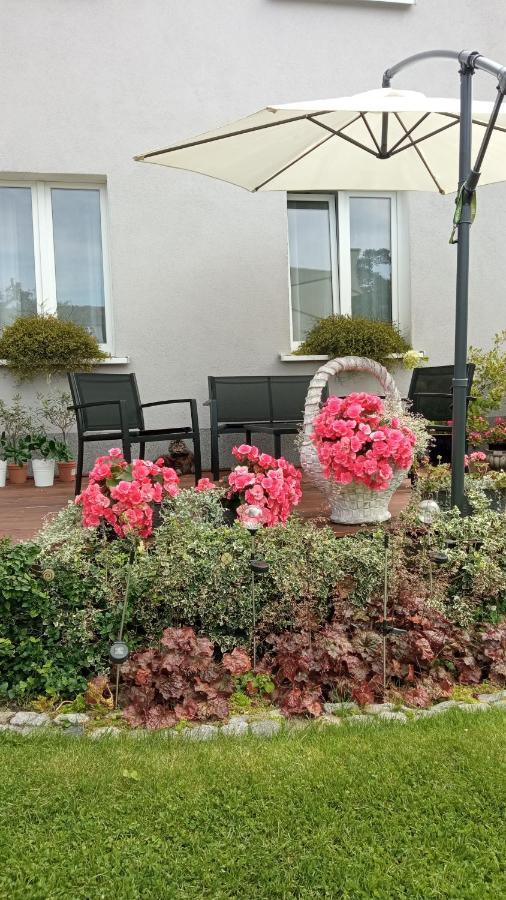 Apartament Mila シフィノウイシチェ エクステリア 写真